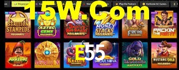 Bonus Features E55