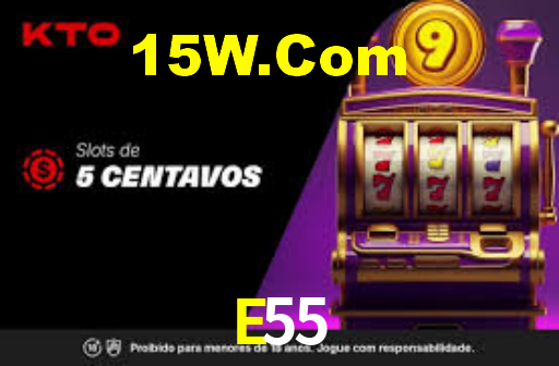 Programa VIP E55